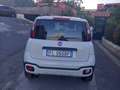 Fiat Panda Panda III 2016 1.3 mjt 16v City Cross s Blanc - thumbnail 5