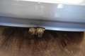 Kia Picanto 1.1 Fifteen Airco Trekhaak NAP Parrot Nieuwe APK Blauw - thumbnail 5