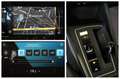 Volkswagen Golf Variant 2.0 TDI 150 CV DSG SCR Life Żółty - thumbnail 14