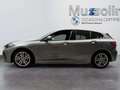 BMW 120 Hatch Gris - thumbnail 15