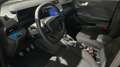 Ford Puma 1.0 EcoBoost Hybrid 125 CV S&S ST-Line Gri - thumbnail 14