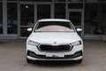 Skoda Octavia Combi First Edition/ACC/Reisepaket/Navi - thumbnail 14