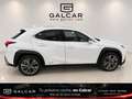 Lexus UX 250h F Sport Cuero 4WD Blanco - thumbnail 5