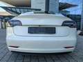 Tesla Model 3 Long range/AWD/dual Motor Weiß - thumbnail 11