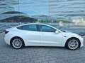 Tesla Model 3 Long range/AWD/dual Motor Weiß - thumbnail 12