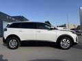 Peugeot 5008 1,5 BlueHDI 130 S&S EAT8 Allure Aut. Weiß - thumbnail 10