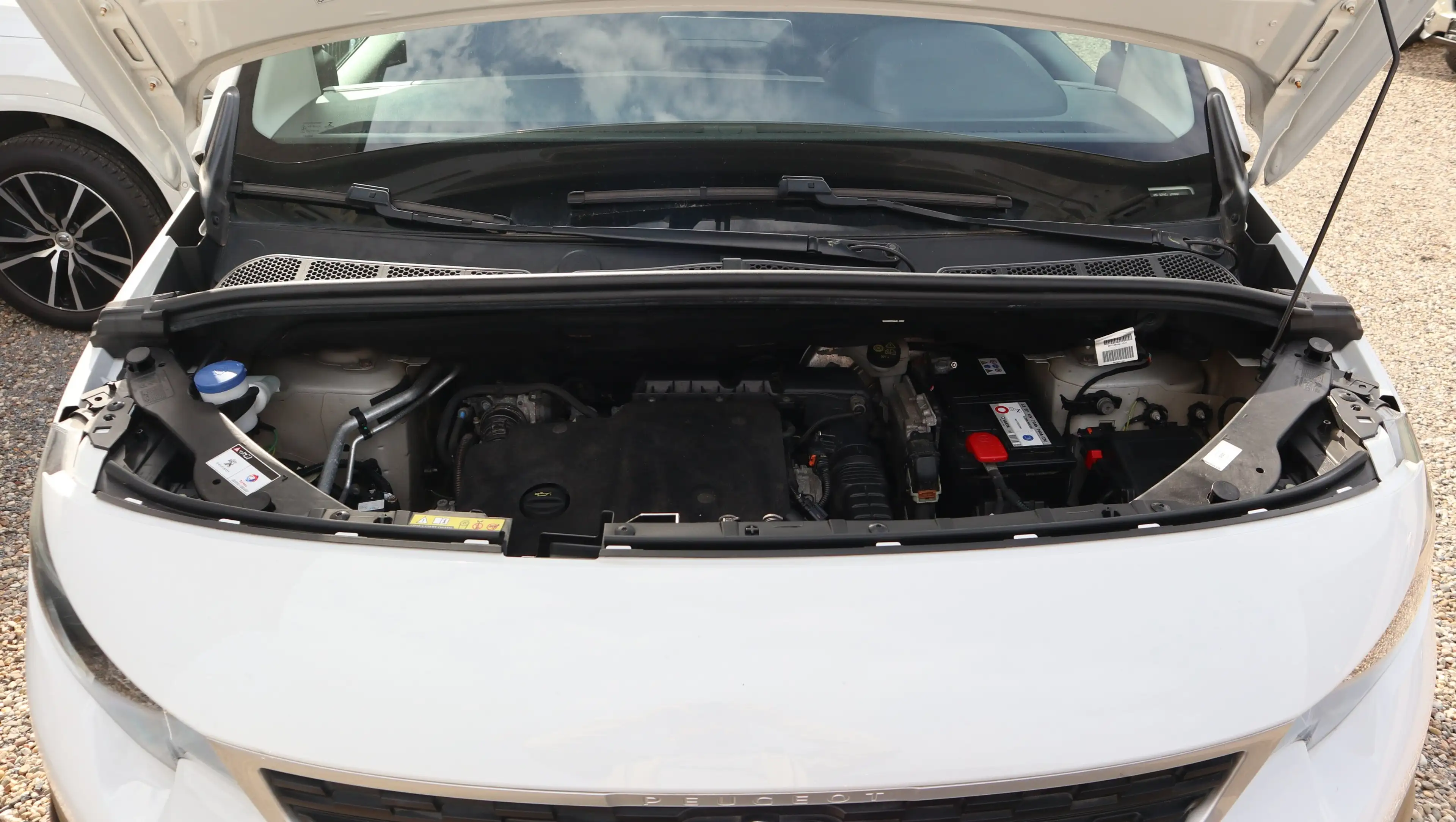 Peugeot Rifter Peugeot Rifter 2018 — photo 15