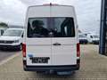 Volkswagen Crafter 35 Kasten TDI MR L3H3 STANDHEIZ AHK Klima Weiß - thumbnail 5