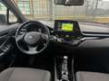Toyota C-HR C-HR 2.0h More Business e-cvt 152 cv Bianco - thumbnail 10