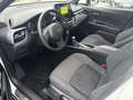 Toyota C-HR C-HR 2.0h More Business e-cvt 152 cv Bianco - thumbnail 11
