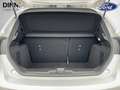 Ford Fiesta ST-Line Allwetter+Kamera+Winterpaket Silber - thumbnail 16