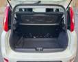 Fiat Panda 4x4 0.9 TwinAir 85CV Bianco - thumbnail 12