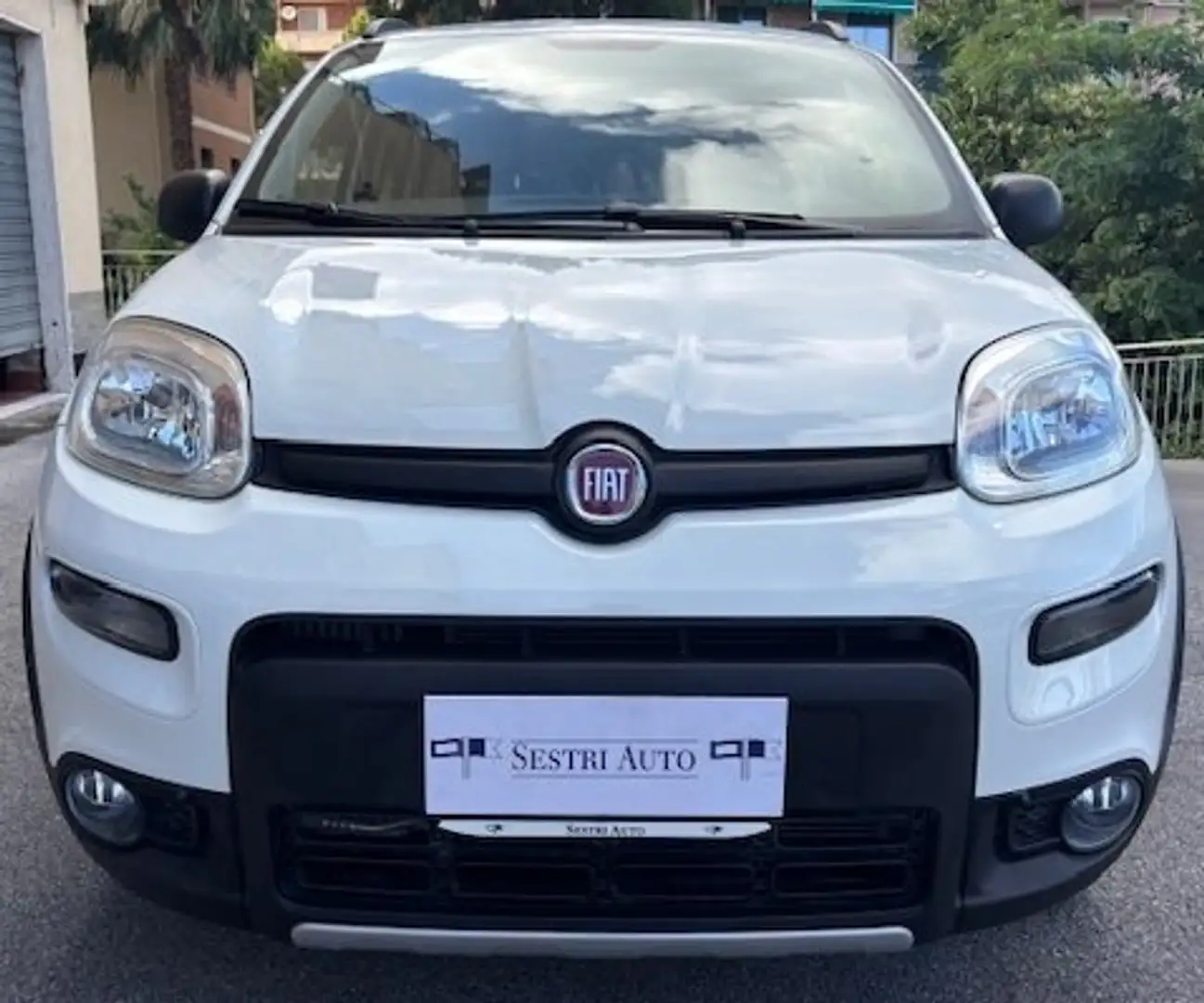 Fiat Panda 4x4 0.9 TwinAir 85CV Bianco - 2