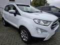 Ford EcoSport Titanium 1,0,125 PS, Navi,Teilleder,LED Blanco - thumbnail 3