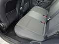 Ford EcoSport Titanium 1,0,125 PS, Navi,Teilleder,LED Blanco - thumbnail 10