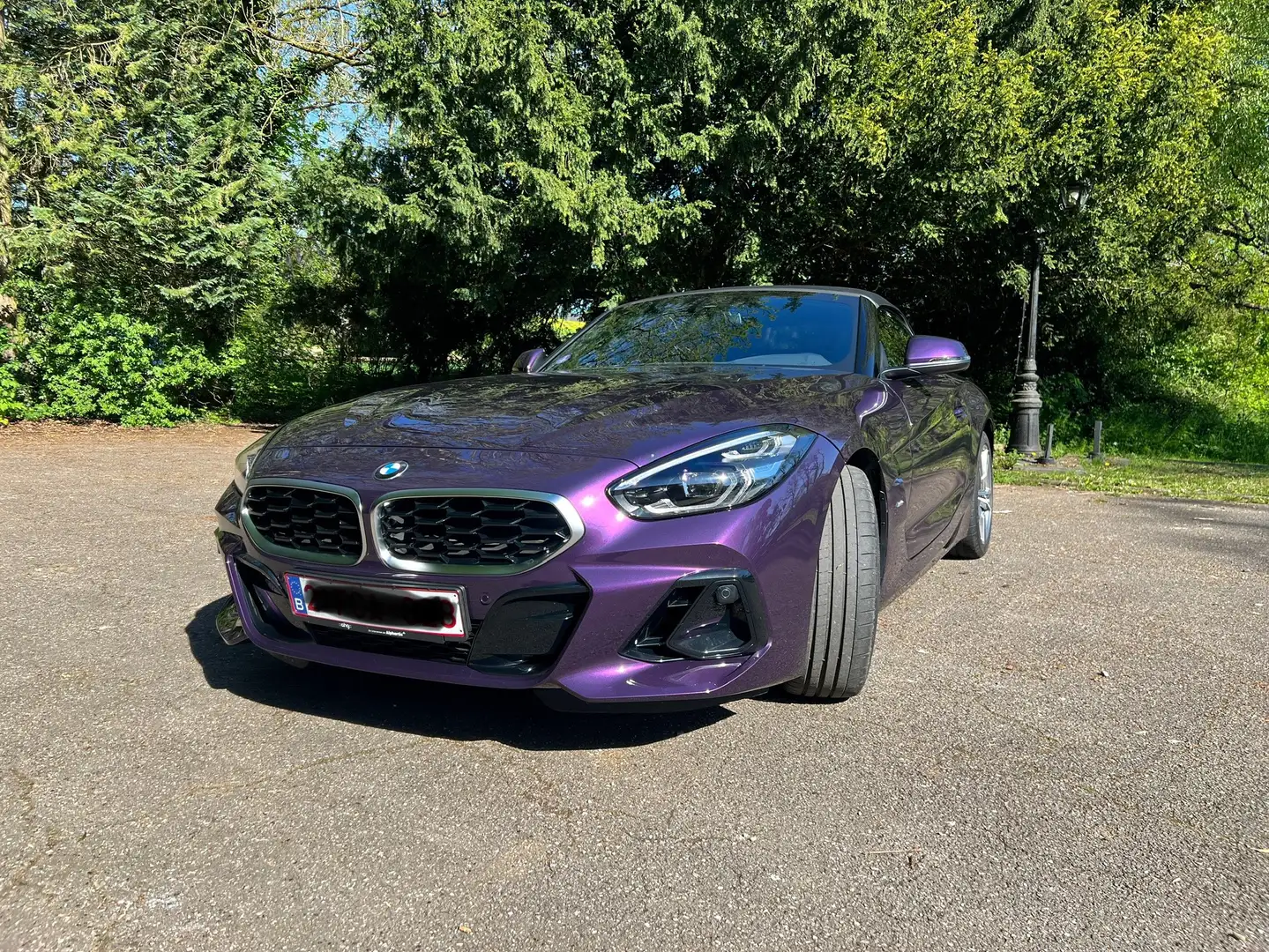 BMW Z4 Z4  sDrive20i Kit M Sport Violett - 1