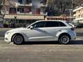 Audi A3 SPB 1.6 TDI clean diesel quattro edition Blanco - thumbnail 8