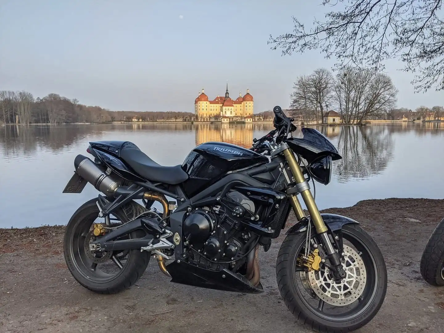 Triumph Street Triple 675 Negru - 2