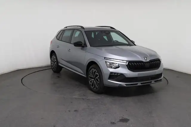 Skoda Kamiq view 10