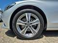 Mercedes-Benz C 200 T-Modell 4Matic LED SHZ Navi Temp Pano AHK Argento - thumbnail 14