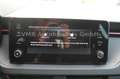 Skoda Kamiq 1.5 TSI DSG Monte Carlo *Facelift*AHK* Grau - thumbnail 16