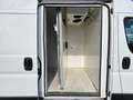 Fiat Ducato 335 2.2 BlueHDi 140CV S&S L3H2 FRIGO ZANOTTI 0°C Weiß - thumbnail 4