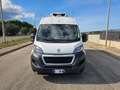 Fiat Ducato 335 2.2 BlueHDi 140CV S&S L3H2 FRIGO ZANOTTI 0°C Weiß - thumbnail 2