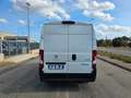 Fiat Ducato 335 2.2 BlueHDi 140CV S&S L3H2 FRIGO ZANOTTI 0°C Weiß - thumbnail 8
