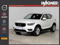 Volvo XC40 D3 AWD Geartronic Momentum Weiß - thumbnail 1