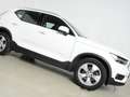 Volvo XC40 D3 AWD Geartronic Momentum Weiß - thumbnail 8