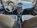 Fiat Punto Evo 1.3 Mjt 5 Porte ( OK  NEOPATENTATI ) Nero - thumbnail 11