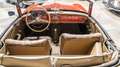 Mercedes-Benz 190 SL ROADSTAR CABRIOLET (INTERCLASSICS NORERING) Red - thumbnail 15