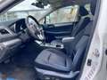 Subaru OUTBACK 2.0D Lineartronic Comfort Biały - thumbnail 11
