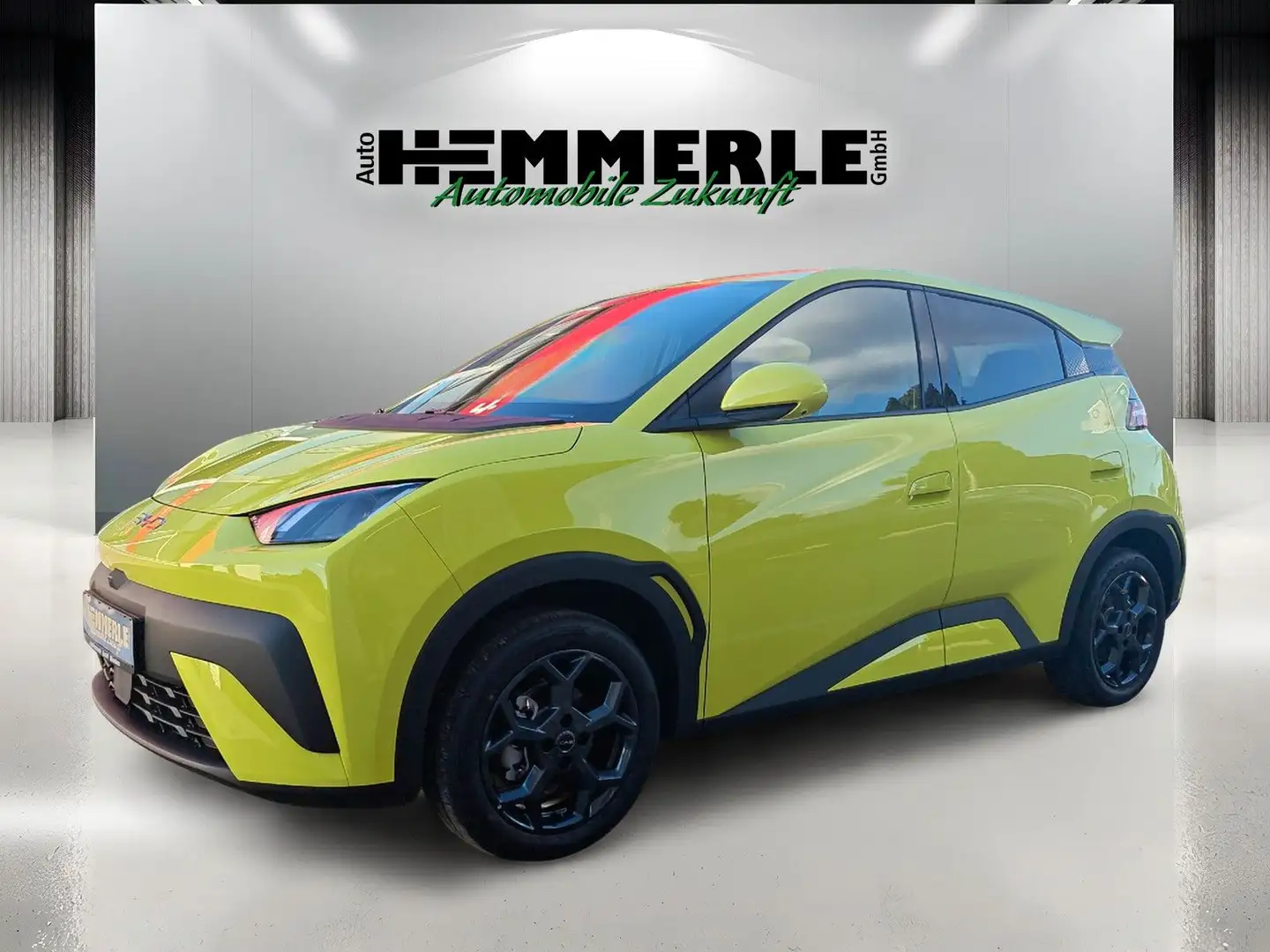 BYD Dolphin SURF Comfort*360 Kamera*SHZ*Freisprech* Geel - 1