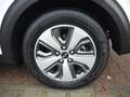 Kia Niro 1.6 PHEV DCT Vision Plug-in Hybrid Navi LED ACC Me Wit - thumbnail 7