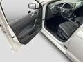 Volkswagen Polo 1.0TSI Highline Climatronic Sitzheizung Weiß - thumbnail 14