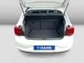 Volkswagen Polo 1.0TSI Highline Climatronic Sitzheizung Weiß - thumbnail 12