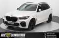 BMW X5 xDrive 45e M Sport*SHADOW-LINE*AHK*22-ZOLL Weiß - thumbnail 1