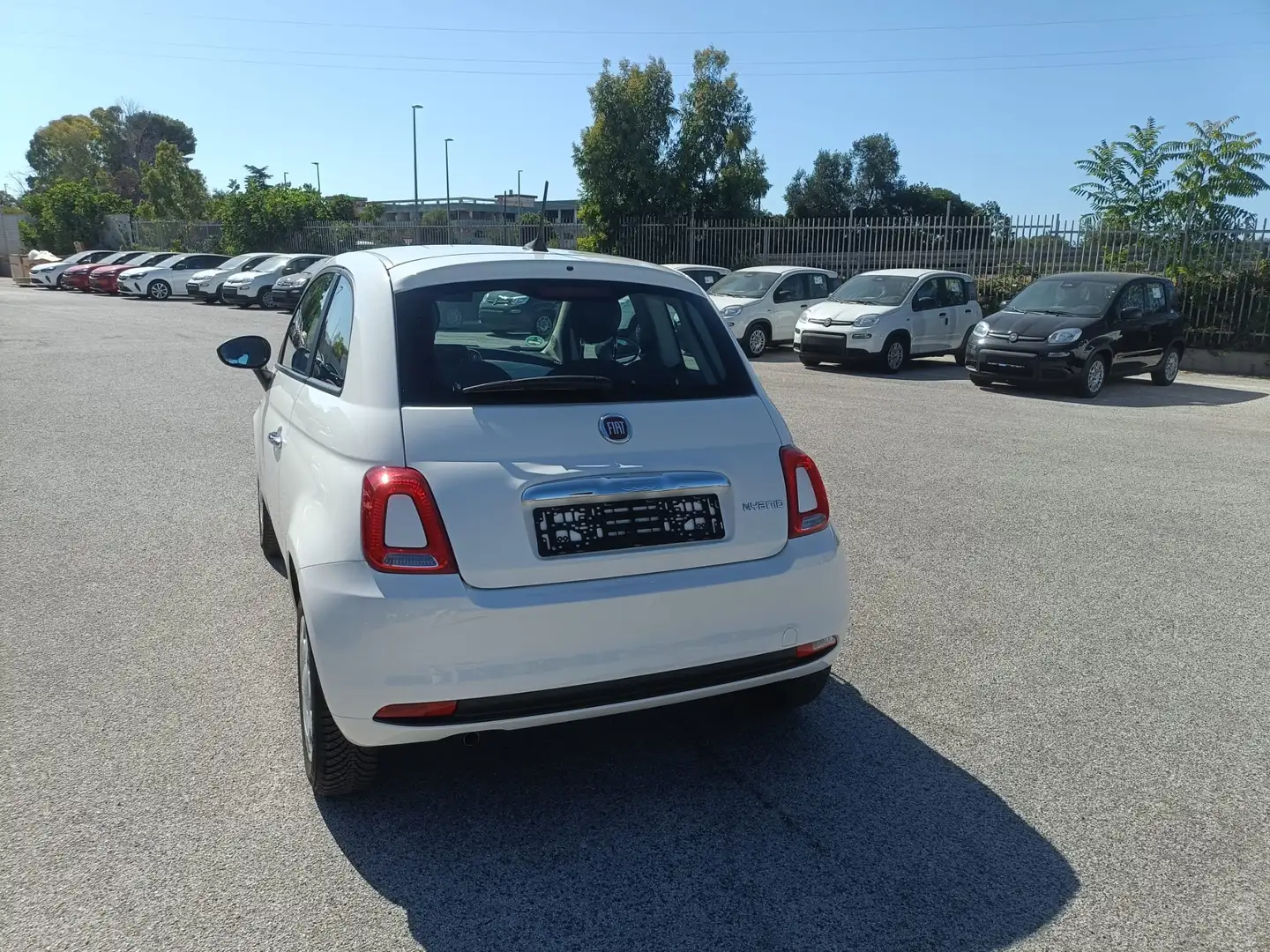 Fiat 500 500 1.0 hybrid Cult 70cv Bianco - 2