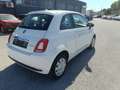 Fiat 500 500 1.0 hybrid Cult 70cv Bianco - thumbnail 5