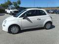 Fiat 500 500 1.0 hybrid Cult 70cv Bianco - thumbnail 3