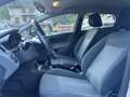 Ford Fiesta Fiesta 1.2 82CV 5porte CINGHIA NUOVA - TAGLIANDATA Bianco - thumbnail 9