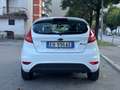 Ford Fiesta Fiesta 1.2 82CV 5porte CINGHIA NUOVA - TAGLIANDATA Bianco - thumbnail 6