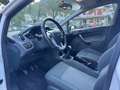Ford Fiesta Fiesta 1.2 82CV 5porte CINGHIA NUOVA - TAGLIANDATA Bianco - thumbnail 11