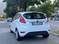 Ford Fiesta Fiesta 1.2 82CV 5porte CINGHIA NUOVA - TAGLIANDATA Bianco - thumbnail 5