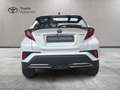 Toyota C-HR C-HR 2.0 hev Trend fwd e-cvt Blanco - thumbnail 12