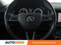 Skoda Kodiaq 2.0 TDI Style Grau - thumbnail 19