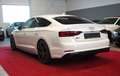 Audi S5 3.0 TFSI Sportback Quattro LED*Acc*Rückfahrk* Bílá - thumbnail 9