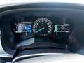 Ford Ranger Ranger Doppelkabine Wildtrak 4x4 3,2 TDCi Aut. Wil Orange - thumbnail 14