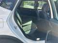 SEAT Arona 1.0 TSI Ecomotive S&S FR110 Blanco - thumbnail 18